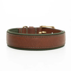 Morston Padded Leather Dog Collar - Olive