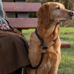 Mud Rope Dog Leads by Ruff And Tumble