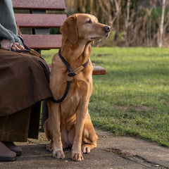 Mud Rope Dog Leads by Ruff And Tumble