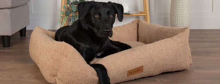 Luxury Dog Beds at Chelsea Dogs