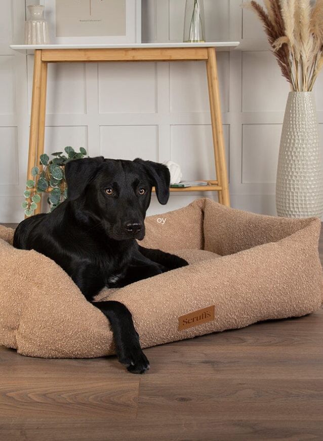 Luxury Dog Beds at Chelsea Dogs