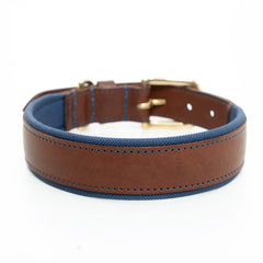 Morston Padded Leather Dog Collar - Navy