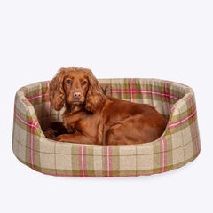 Newton Moss Slumber Dog Bed by Danish Design