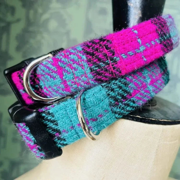Northern Lights Harris Tweed Dog Collar