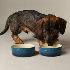 Ombre 2 Piece Dog Food & Water Bowl Set - Blue