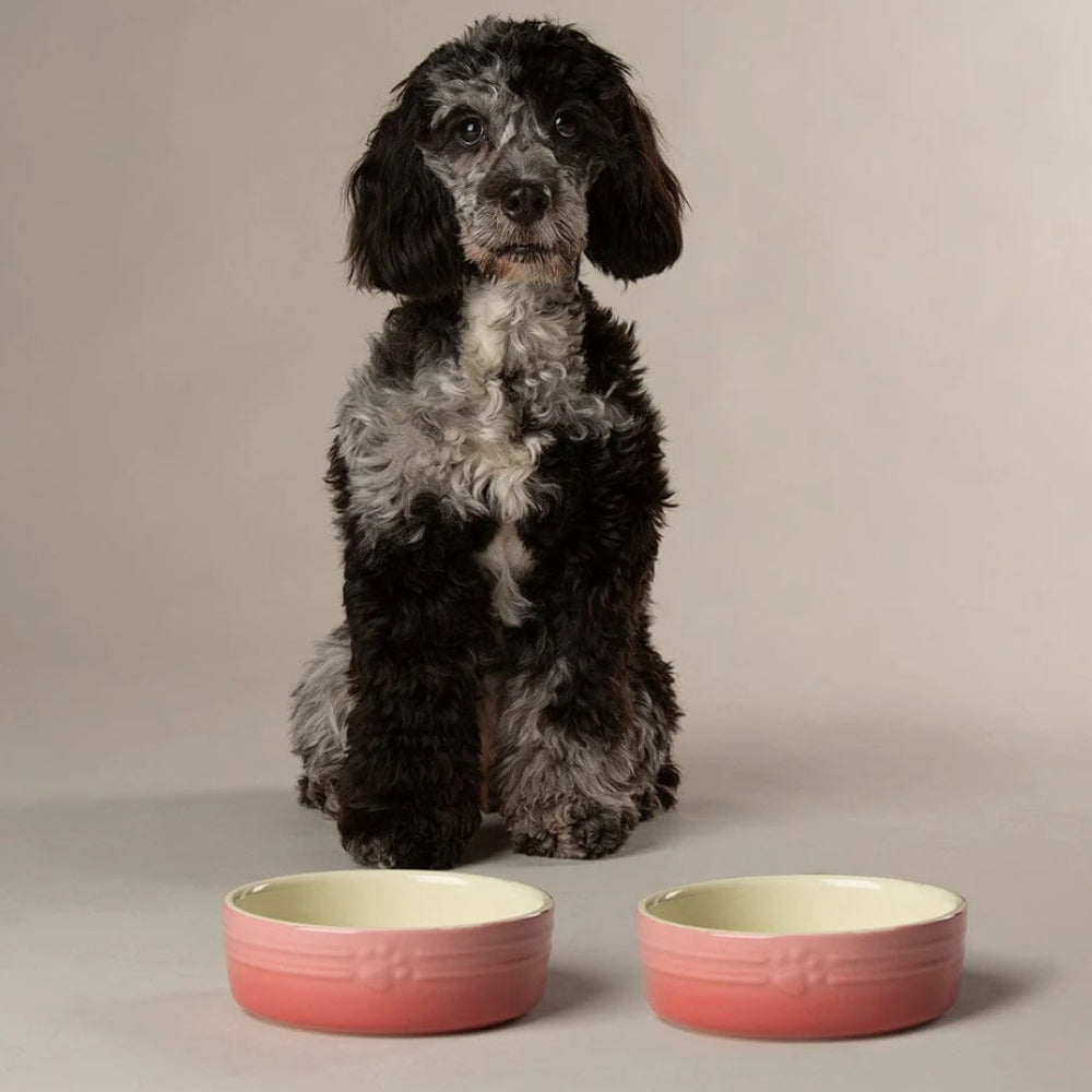 Ombre 2 Piece Dog Food & Water Bowl Set - Pink
