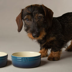 Ombre 2 Piece Dog Food & Water Bowl Set - Blue