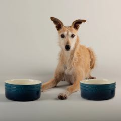 Ombre 2 Piece Dog Food & Water Bowl Set - Blue