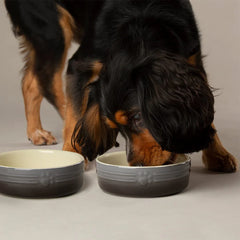 Ombre 2 Piece Dog Food & Water Bowl Set - Grey