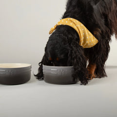 Ombre 2 Piece Dog Food & Water Bowl Set - Grey