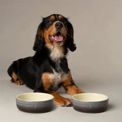 Ombre 2 Piece Dog Food & Water Bowl Set - Grey