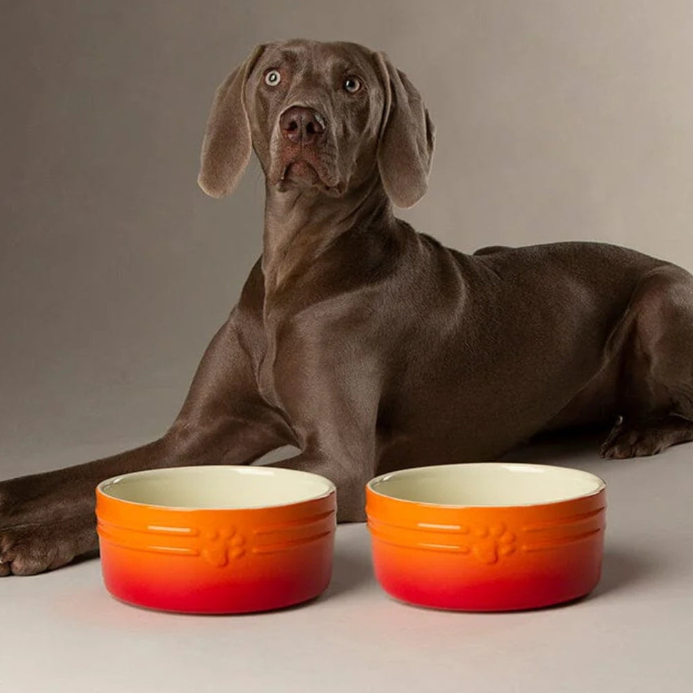 Ombre 2 Piece Dog Food & Water Bowl Set - Orange