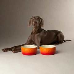 Ombre 2 Piece Dog Food & Water Bowl Set - Orange