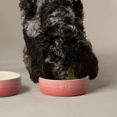 Ombre 2 Piece Dog Food & Water Bowl Set - Pink