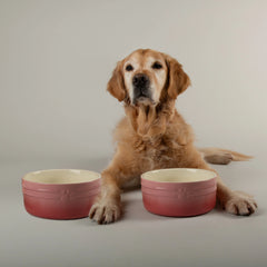 Ombre 2 Piece Dog Food & Water Bowl Set - Pink