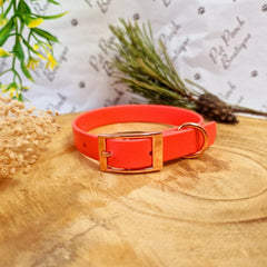 Orange Biothane Vegan Dog Collar