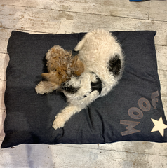 Creature Clothes Denim With Grey Woof Dog Bed