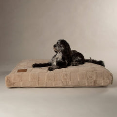 Oxford Orthopaedic Memory Foam Dog Mattress - Camel