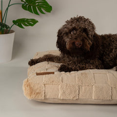 Oxford Orthopaedic Memory Foam Dog Mattress - Tan