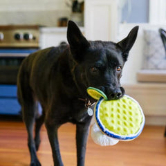 P.L.A.Y Barktender - Pup-arita Dog Toy