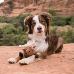 P.L.A.Y Big Five of Africa - Cape Buffalo Dog Toy