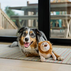 P.L.A.Y Big Five of Africa - Lion Dog Toy