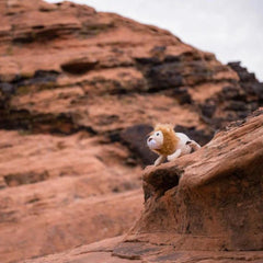 P.L.A.Y Big Five of Africa - Lion Dog Toy