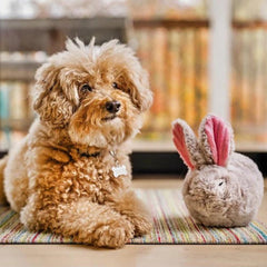 P.L.A.Y Forest Friends - Baxter the Bunny Dog Toy