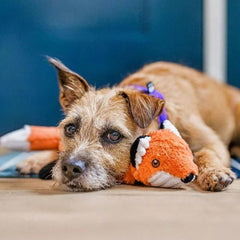P.L.A.Y Forest Friends - Forest the Fox Dog Toy