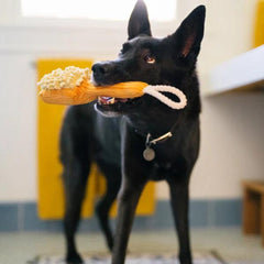 P.L.A.Y Splish Splash - Bark n' Bristles Dog Toy