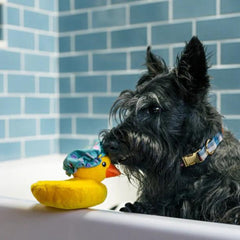 P.L.A.Y Splish Splash -Bubbles the Duck Dog Toy