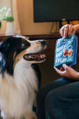 P.L.A.Y Party Animal Barkday Wishes Dog Toy