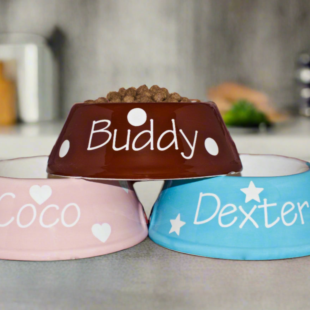 Three pet bowls in brown, pink, and blue with names 'Buddy', 'Coco', and 'Dexter' on a kitchen counter.