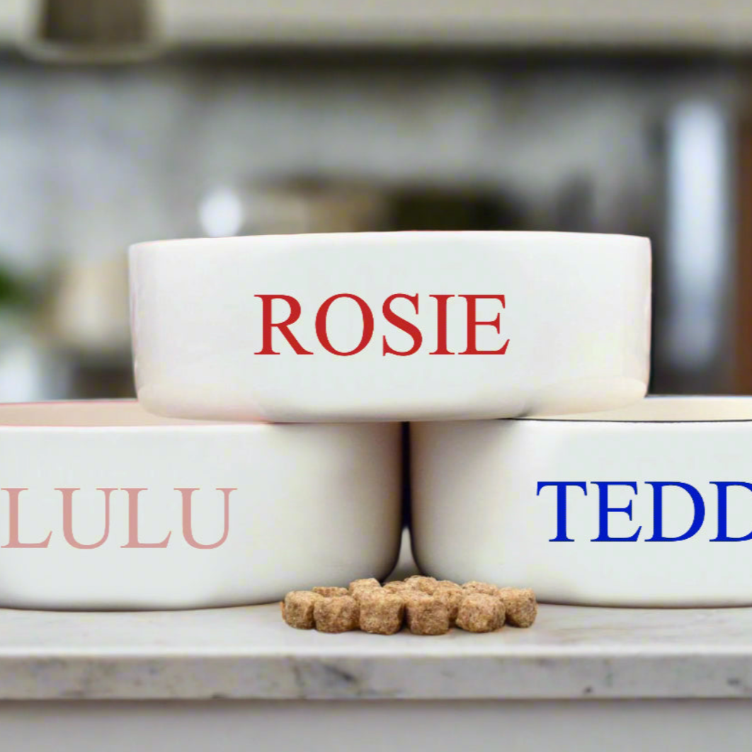 Three ceramic pet bowls with names 'Rosie', 'Lulu', and 'Teddy' on a kitchen counter.