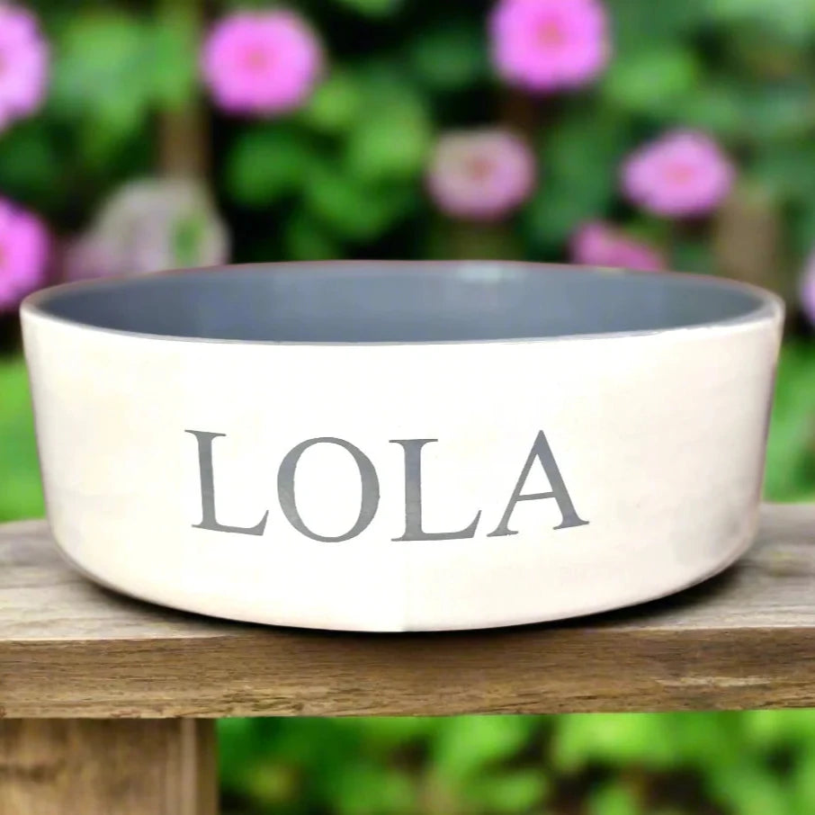 Personalised Classic Font Dog Bowls With Painted Inside
