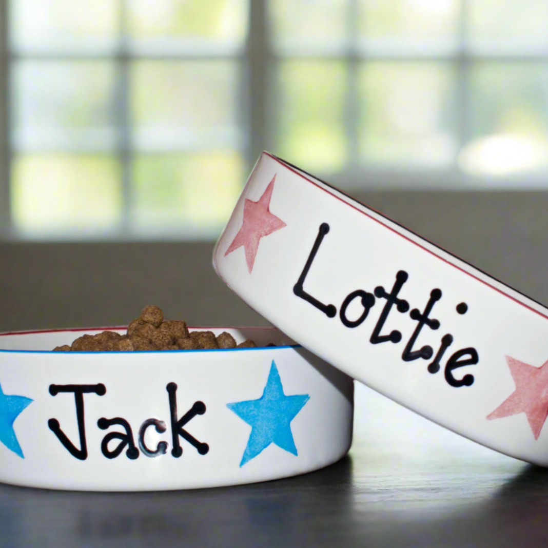 Personalised Dog Bowls In Star Design