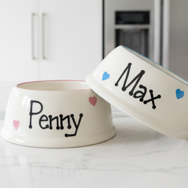 Personalised Love Heart Slanted Dog Bowls