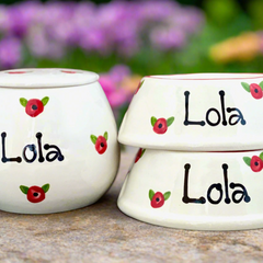Personalised Poppy Design Slanted Dog Bowls and Treat Jar Set