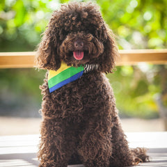 Creature Clothes Slip On Bandana Pride Stripe