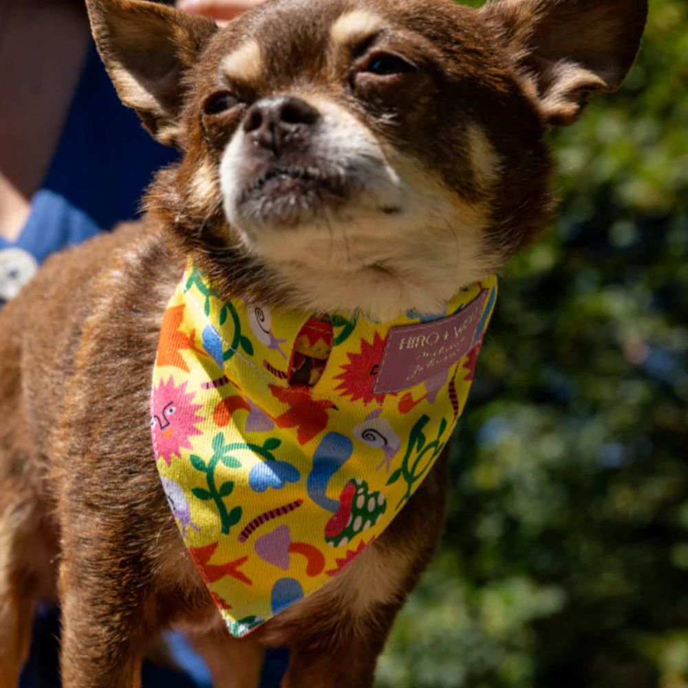 Psychedelic Garden Dog Bandana by Hiro and Wolf