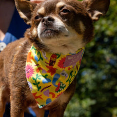 Psychedelic Garden Dog Bandana by Hiro and Wolf
