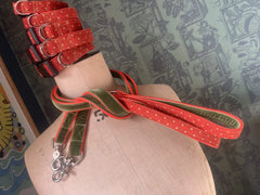 Pumpkin Spice Corduroy & Velvet Dog Collar and Lead