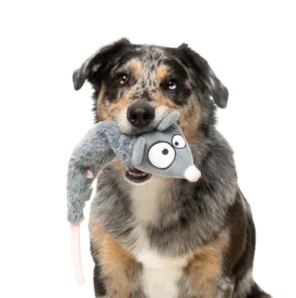 Rack Off Rat - The Yeetz - Dog Toy by FuzzYard