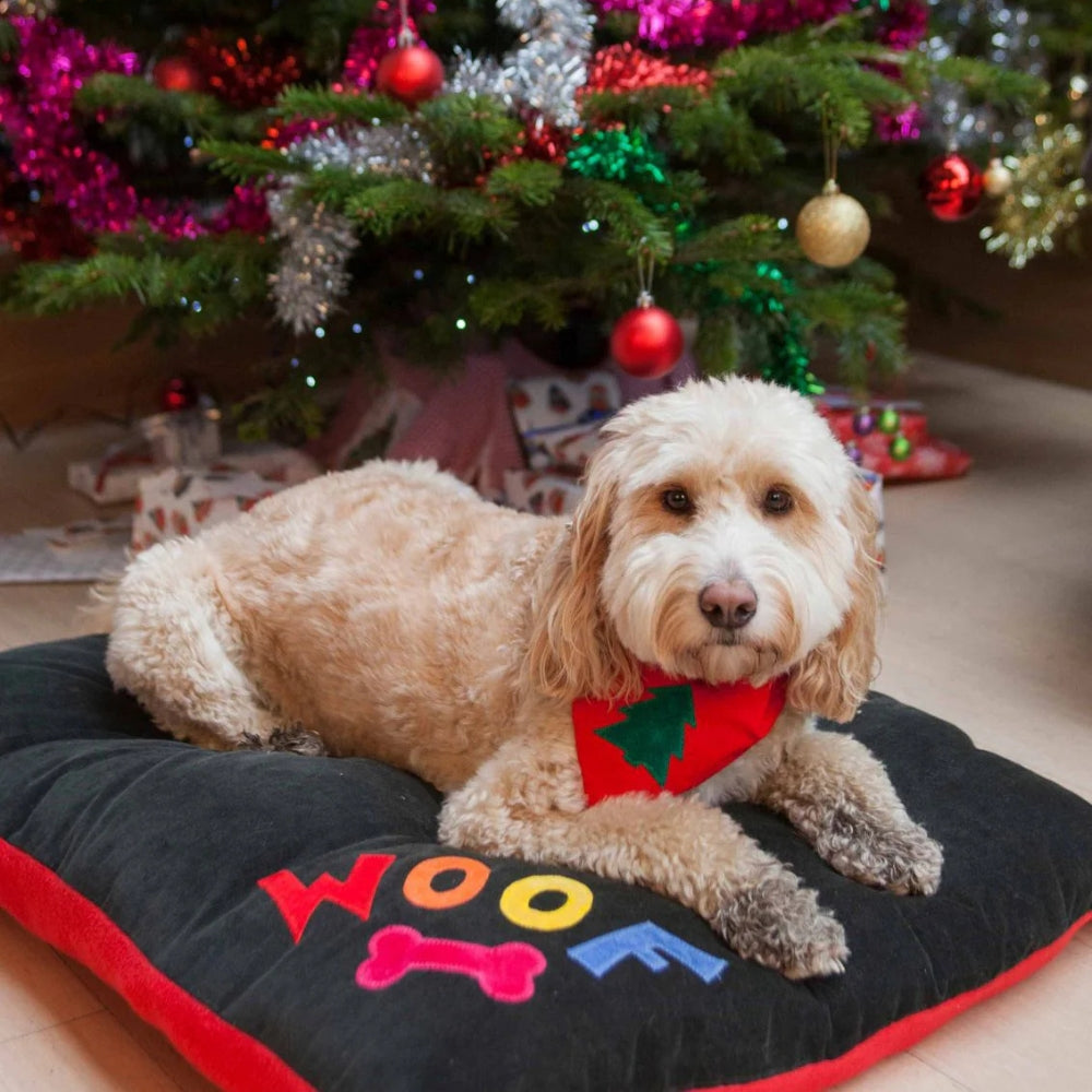 Rainbow Woof Dog Bed