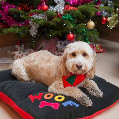 Rainbow Woof Dog Bed