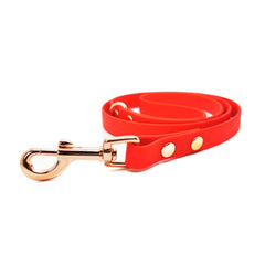 Red Biothane Vegan Dog Lead