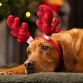 Red Sparkle Antlers Headband by House of Paws
