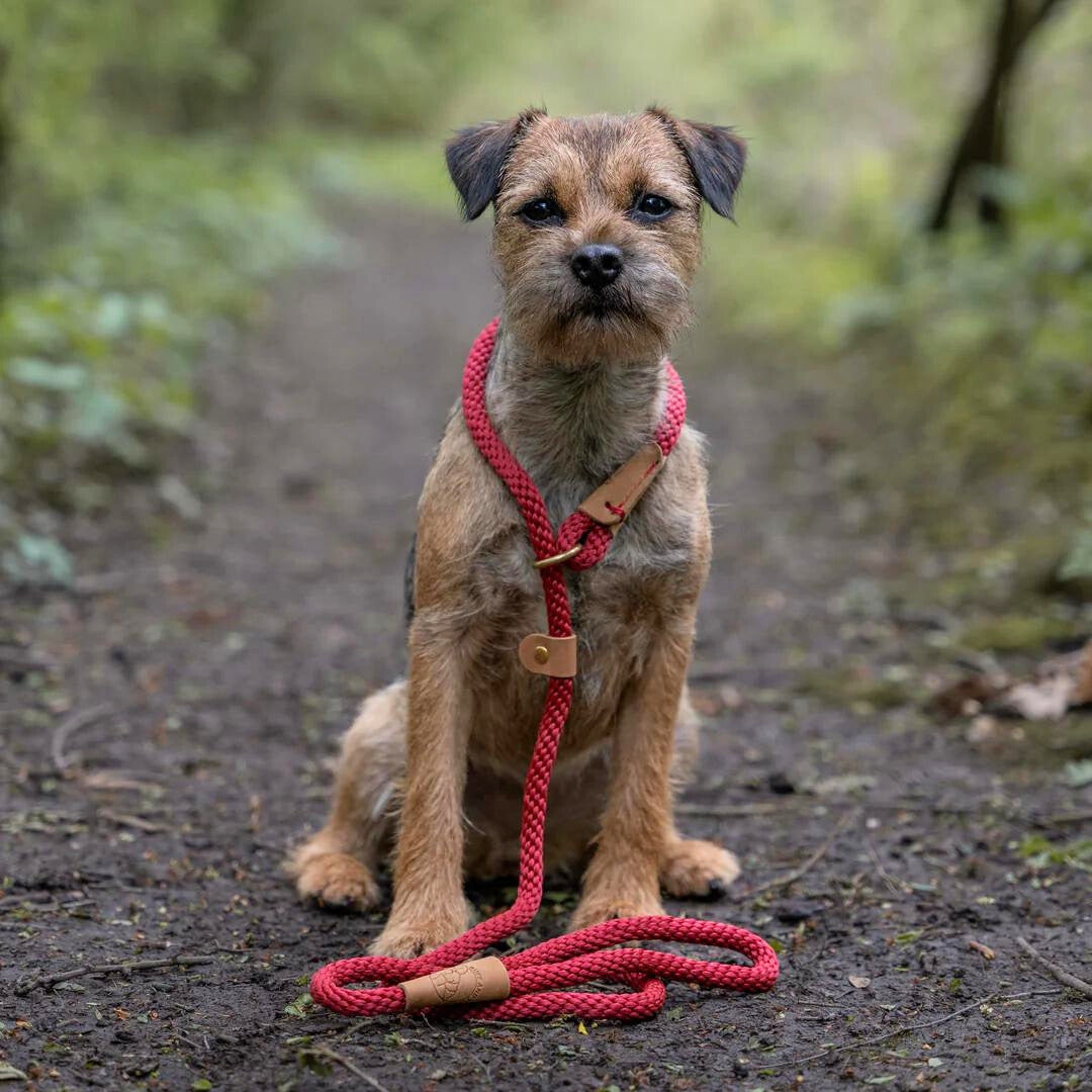 Rosehip Rope Dog Lead by Ruff And Tumble