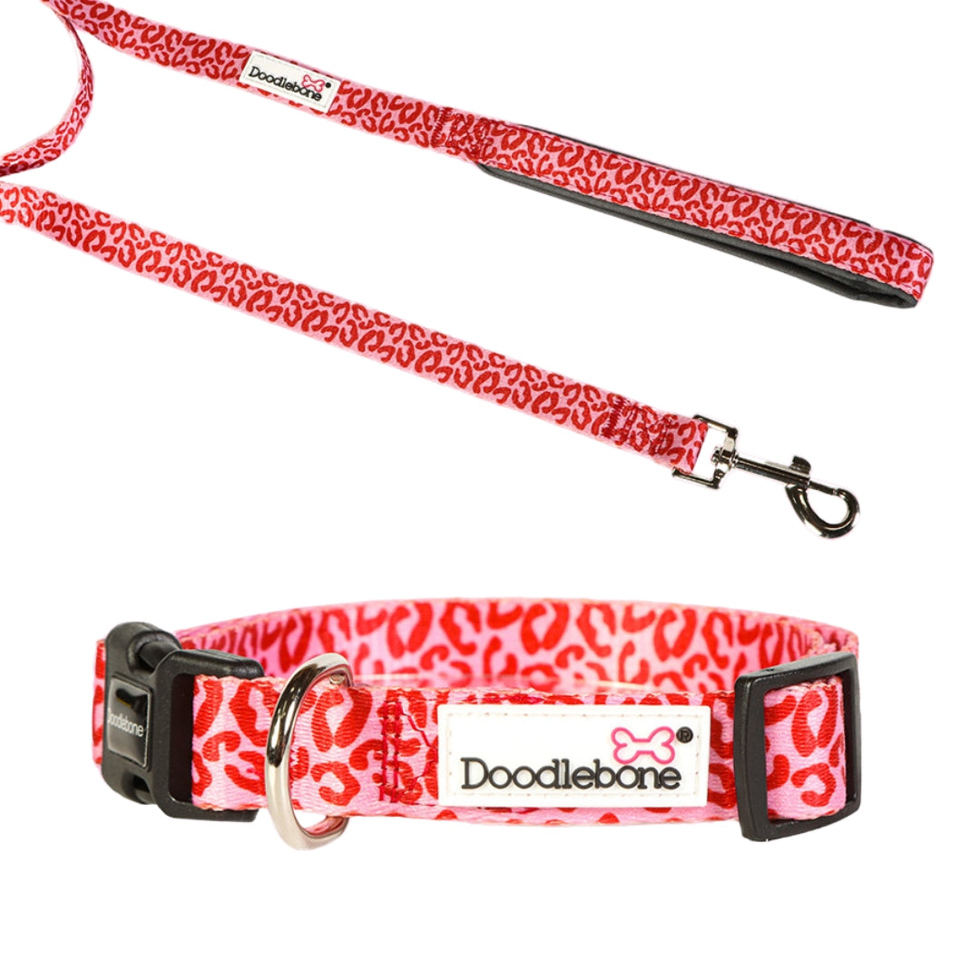 Ruby Leopard Puppy Collar & Lead Set by Doodlebone