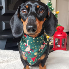 Rudolphs Stocking Christmas Dog Bandana